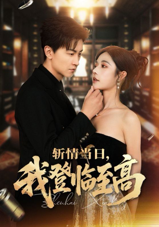 斩情当日我登临至高(全集)
