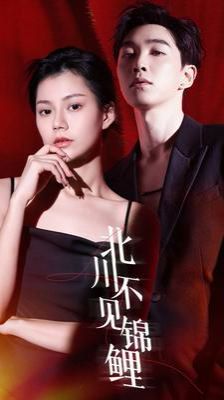 北川不见锦鲤 第41-60集