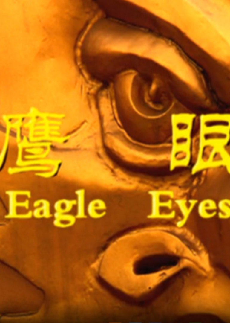 鹰眼2009(大结局)