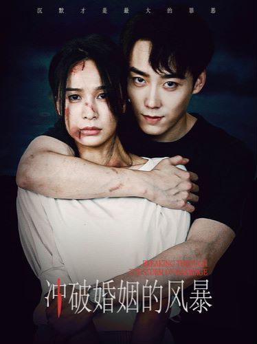 冲破婚姻的风暴 全集(大结局)