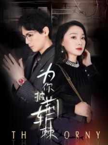 为你披荆斩棘 第41-60集