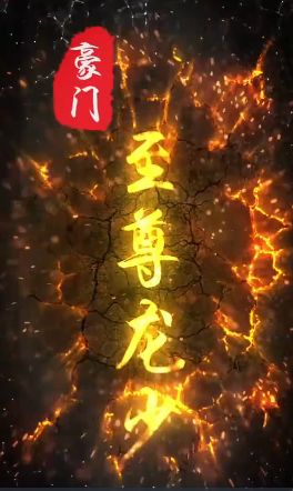 豪门至尊龙少 第1-20集