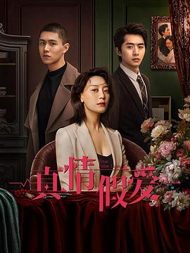 真情假爱 第20集