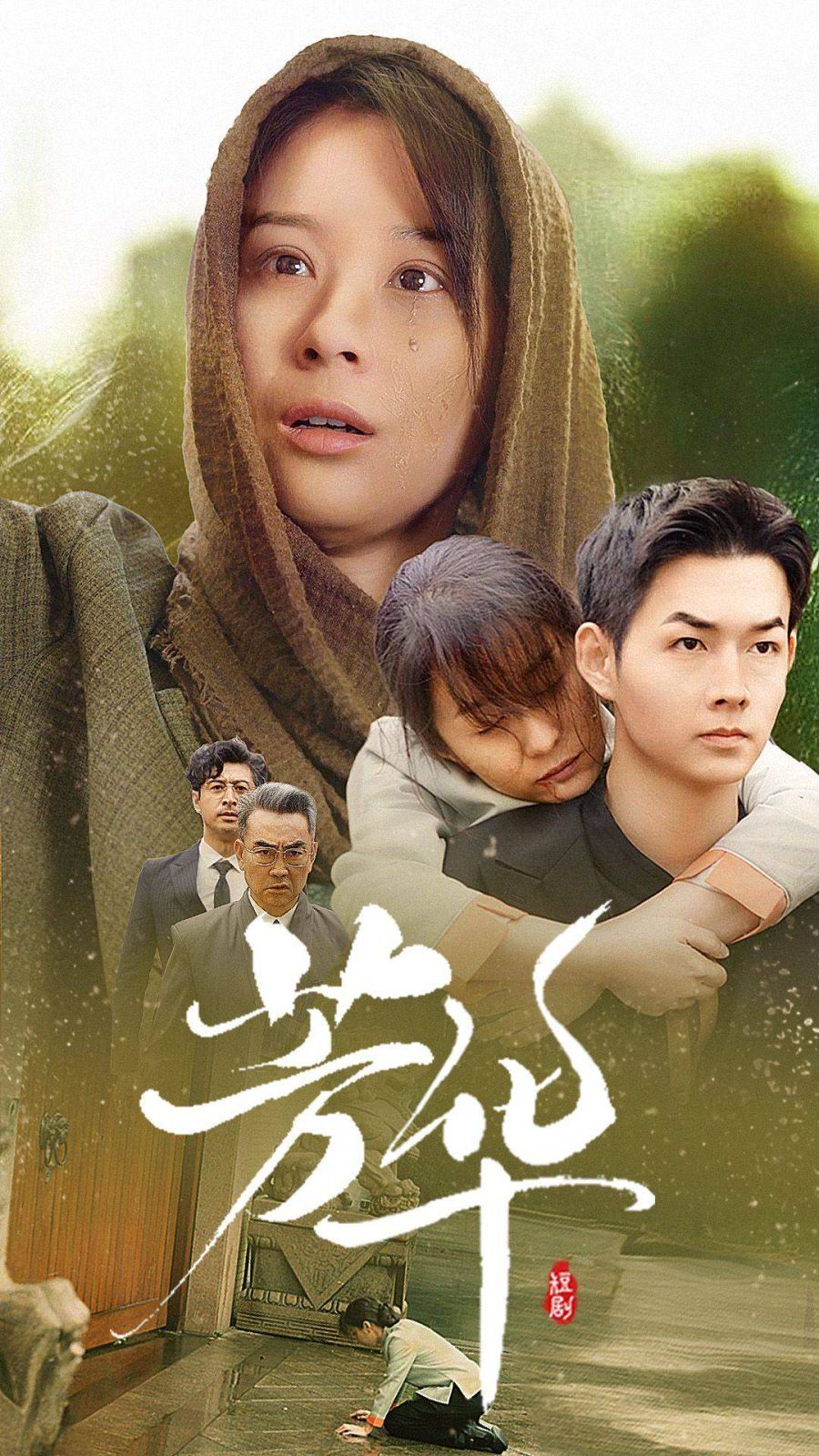 芳华 第61-80集完结(大结局)