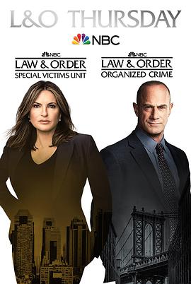法律与秩序：组织犯罪第二季 第17集