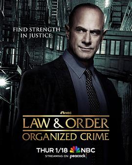法律与秩序：组织犯罪第四季 第06集