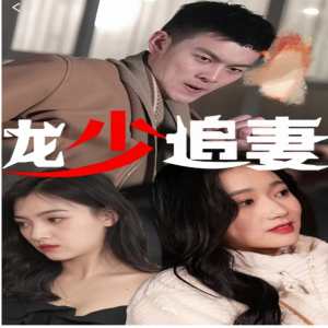 龙少追妻 全集(大结局)