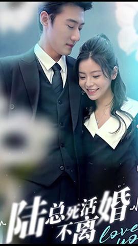 陆总死活不离婚 第3集