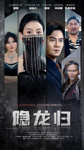隐龙归 第1-20集