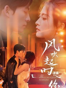 风吹起时想你 第1-20集