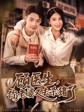 顾医生，你老婆又去杀猪了(全集)