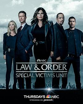 法律与秩序：特殊受害者第二十四季 第10集